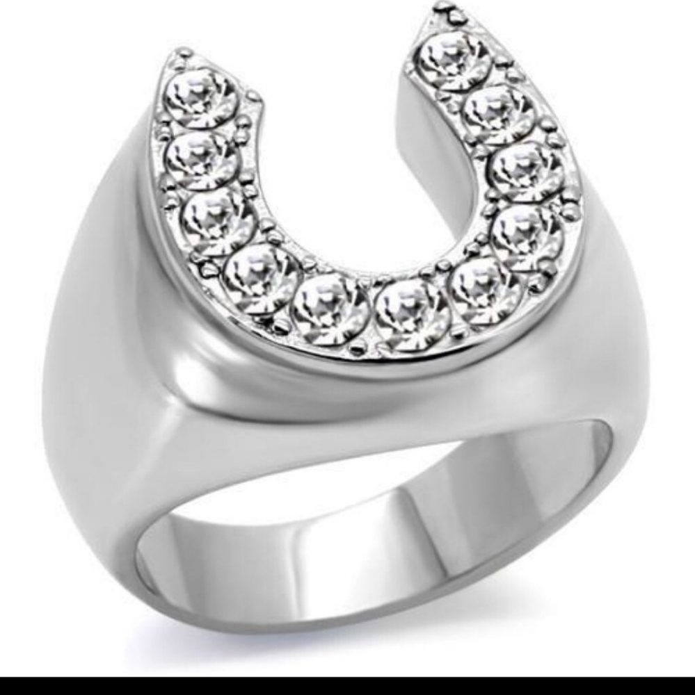STAINLESS STEEL Men’s Horseshoe Crystal Ring